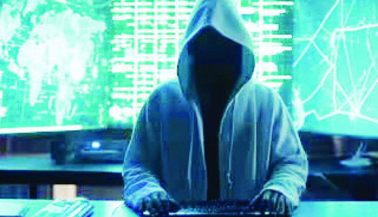 Cyber ​​criminals are opening up: There are 313 cases in 24 states